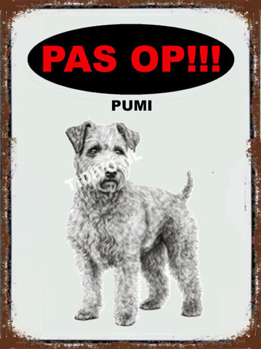 Pumi 17