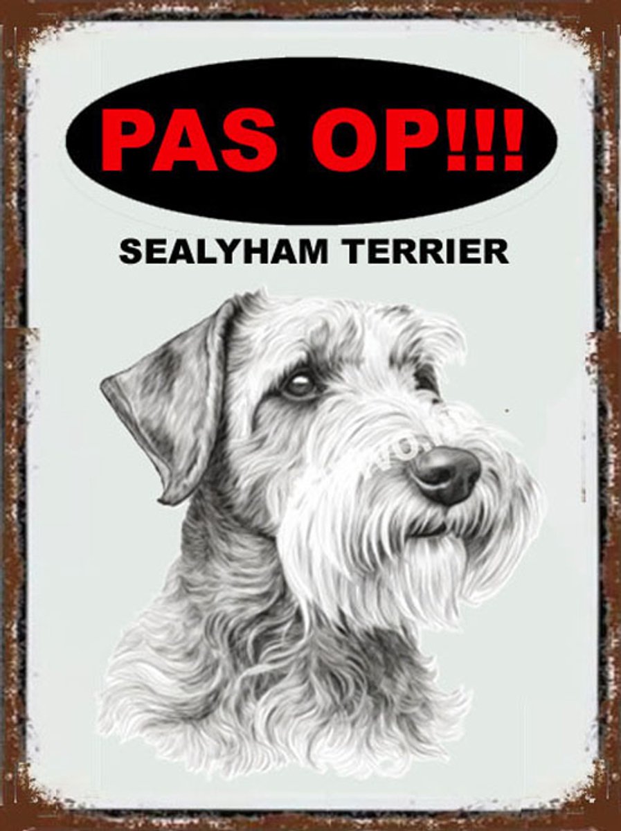 Sealyham Terrier 17
