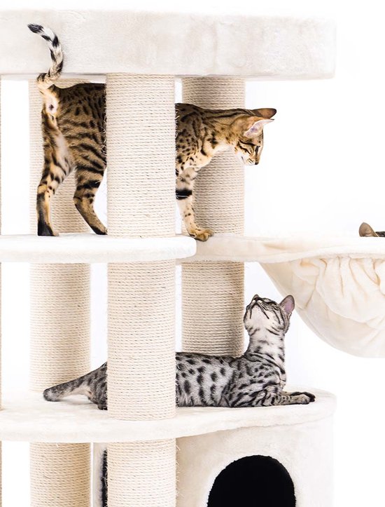 Arbre à chat Petrebels Isabella 170 Design - Crème - Qualité Premium - Arbre à chat XXL pour grands chats