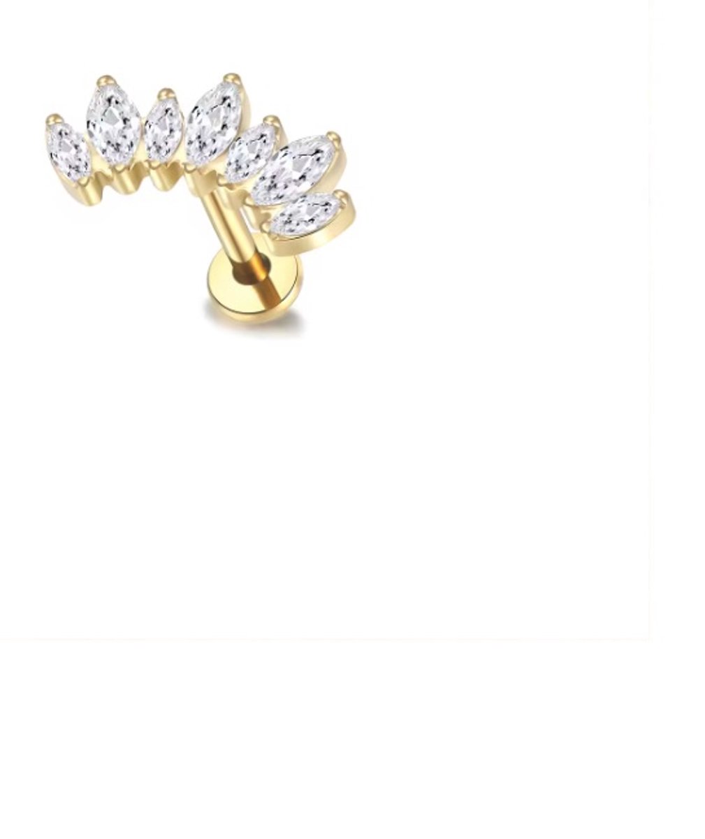 Piercing voor Oor - Kleur: Goud - Formaat: 12 x 6 MM - Titanium - Tragus / Kraakbeen / Helix / Conch - Oorpiercing - Piercing Sieraad - Hoge Kwaliteit - Labret Piercing - Luxe Sieraad - Oorbellen
