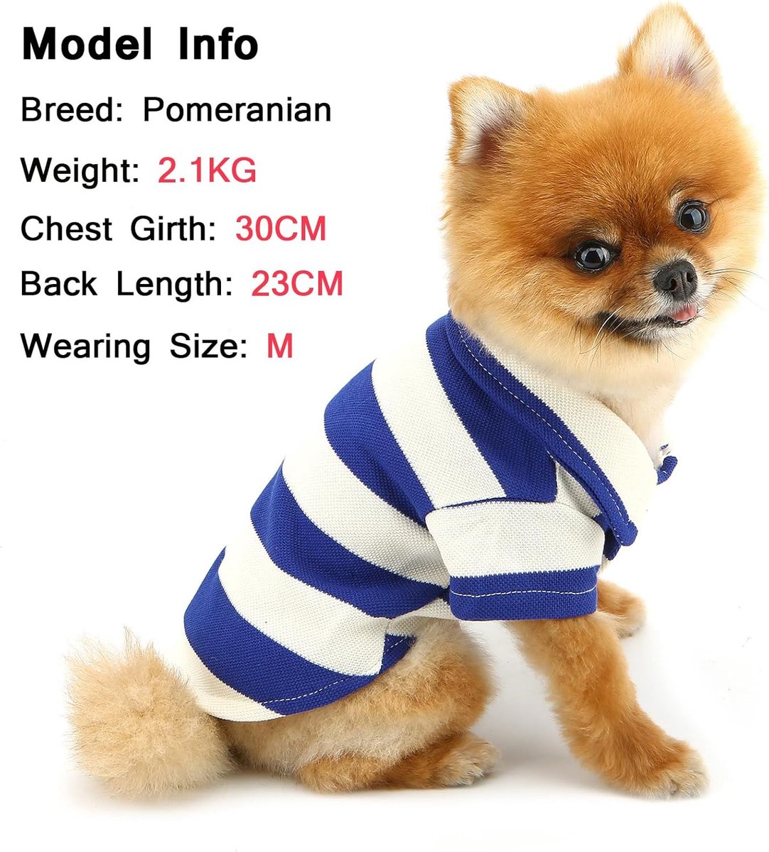 Hondenpoloshirt met wafelpatroon, geschikt voor kleine en middelgrote honden, gestreepte trui voor huisdieren, lente- en zomersweater met ademende puppy, Chihuahua Yorkie (M (borst 37 cm)) — cadeau in Cadeau-ideeën - foto 6