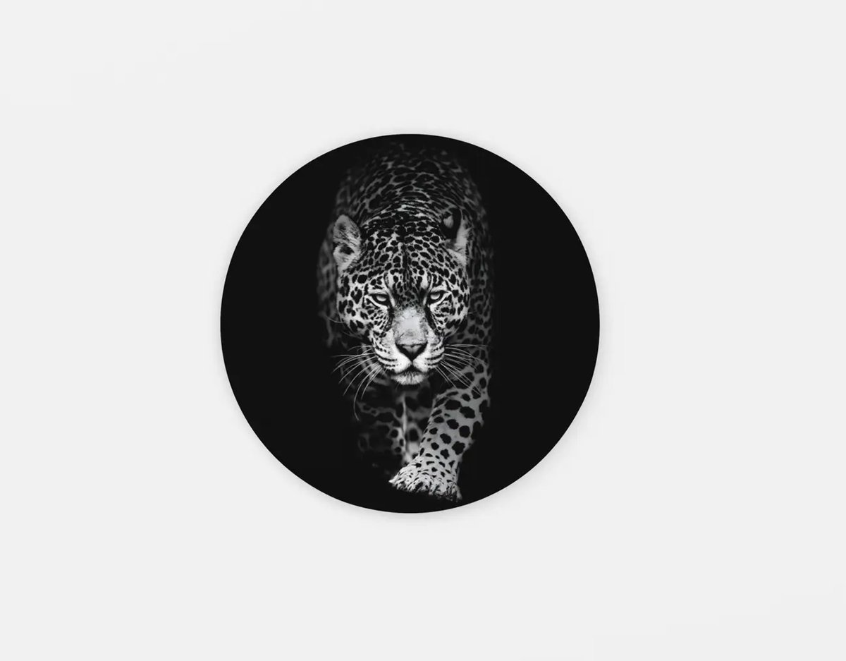 Trendex Global Rond Schilderij - Wilde Dieren - Luipaard - Muurcirkel print op Dibond - Moderne Schilderij - Wanddecoratie - 80 cm Grijs