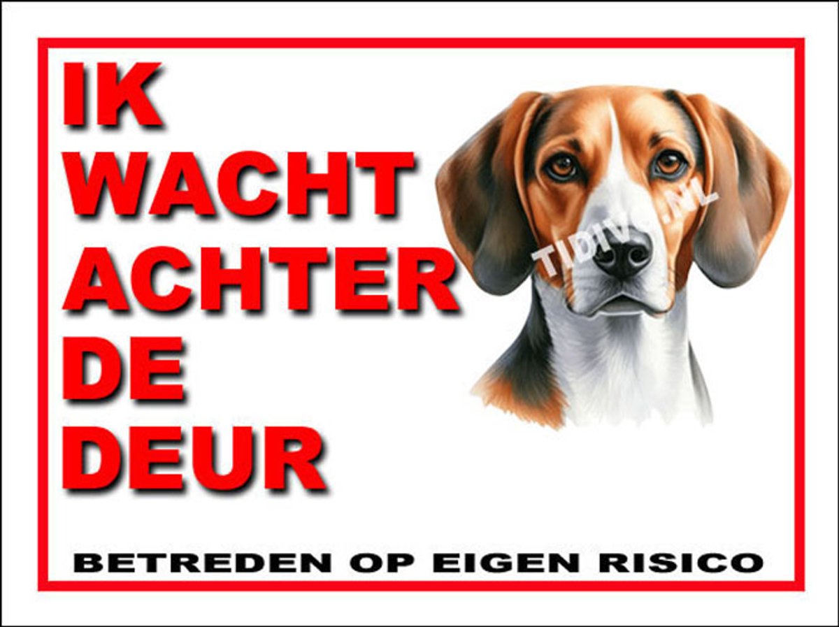 American Foxhound 10