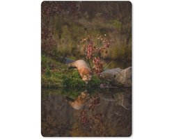 Muismat 18x27 cm - Mousepad Vos - Bos - Water - Muismatten