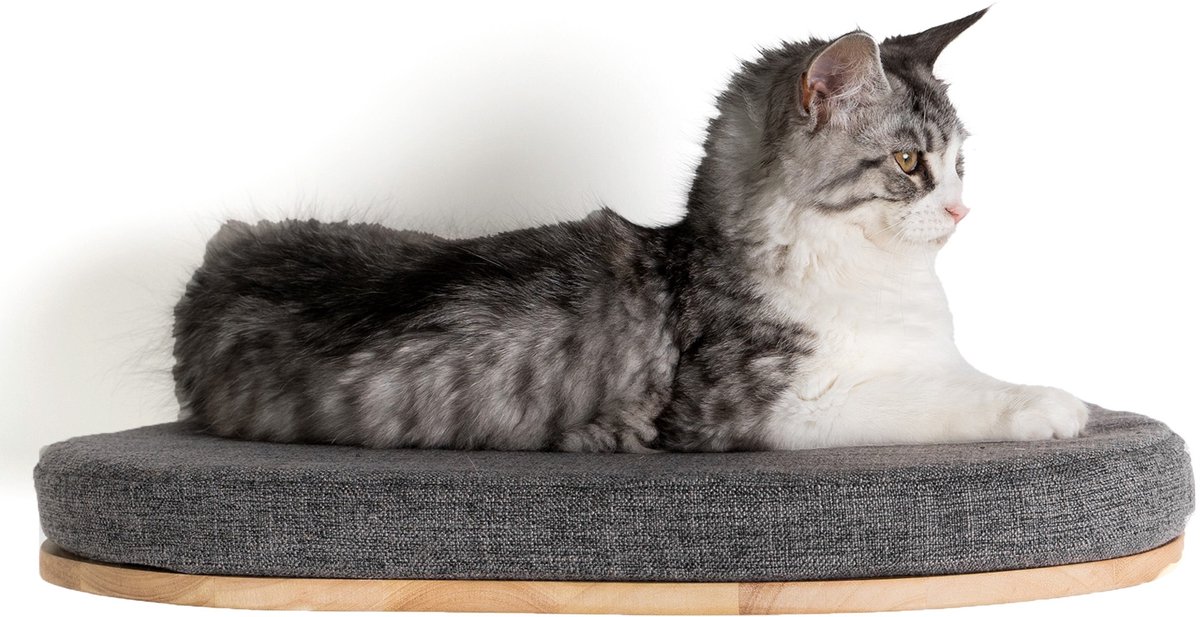 Bol.com RHRQuality Wandmeubel Klimmuur Kat – Luxe Kattenbed 50 cm – Draagkracht tot 20KG – Voor Grote Katten – Met Verwijderbaar... aanbieding