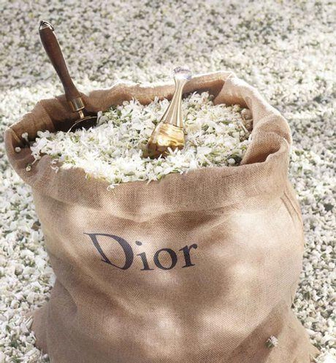 Dior J'adore 20 ml Eau de Parfum roller-pearl - Damesparfum – foto 5