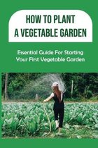 How To Plant A Vegetable Garden: Essential Guide For Starting Your First Vegetable Garden