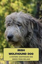 Irish Wolfhound Dog: A Historic Sighthound Dog Breed from Ireland