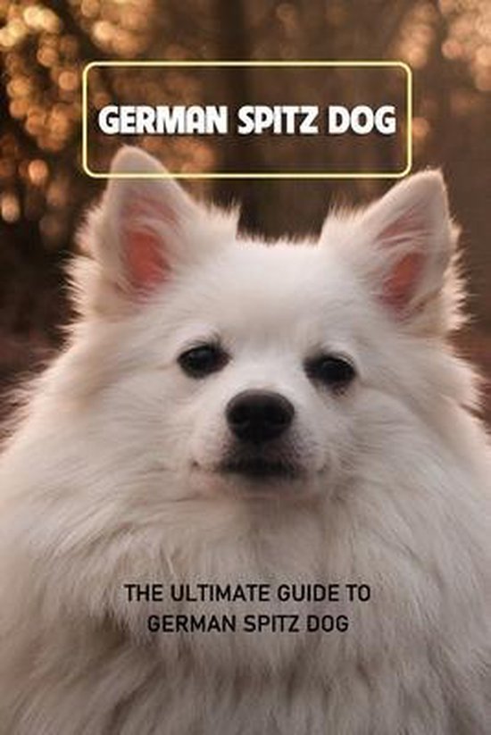 German Spitz Dog