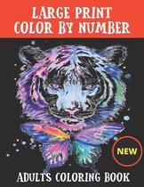 Large Print Color By Number Adults Coloring Book