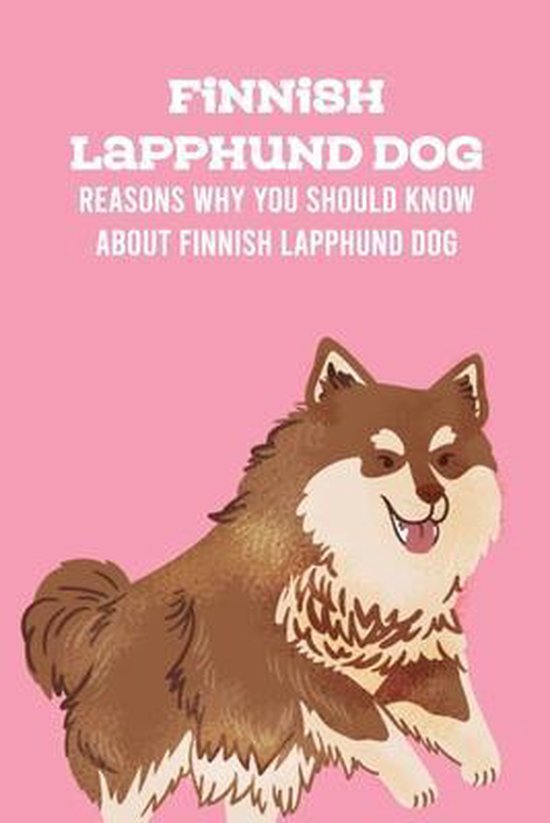 Finnish Lapphund Dog: Reasons Why You Should Know About Finnish Lapphund Dog