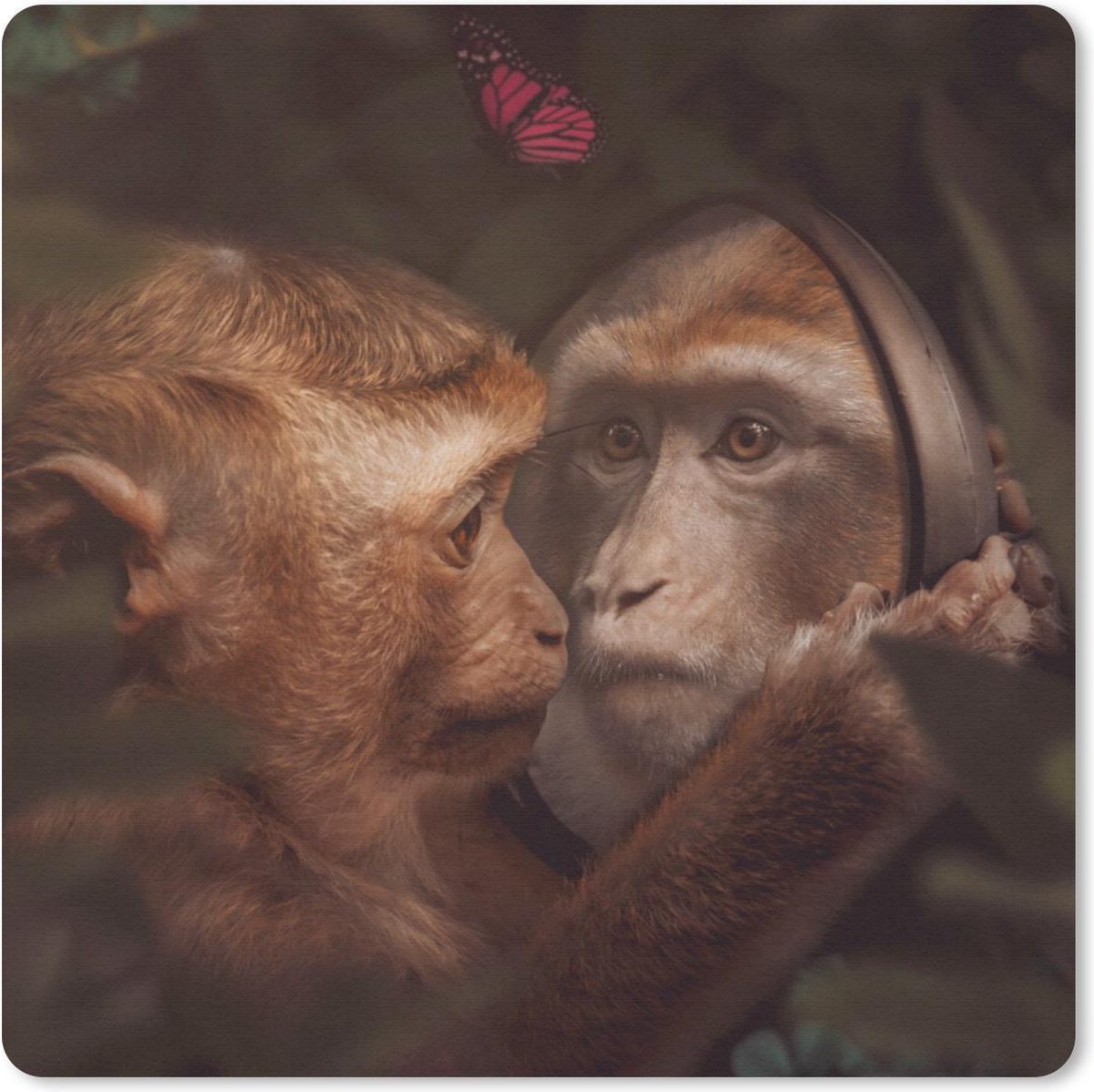 Muismat 30x30 cm - Mousepad Vlinder - Aap - Dieren - Jungle - Muismatten