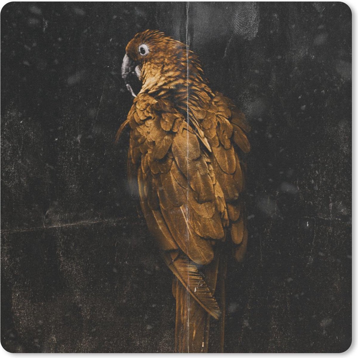 Muismat 30x30 cm - Mousepad Papegaai - Zwart - Goud - Muismatten