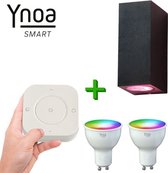 Ynoa slimme buitenverlichting Cannes - Zwart - Inclusief afstandsbediening - Zigbee 3.0 - RGB+W diverse kleuren en wittinten instelbaar - IP54 - Smart wandlamp voor binnen en buiten