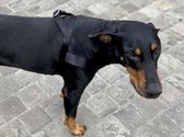 Morso norwegian tuig voor hond gerecycled pureness zwart 69-86x63 cm