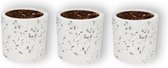 Set van 3 WLPlants Luxe Bloempotten Terrazzo Ø7 - Cilinder - Wit - Hoogte 7 cm - Keramische sierpotten met hoogwaardige afwerking - Geschikt als plantenpot - Binnen en buiten te ge