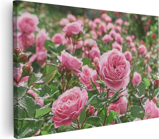 Artaza Canvas Schilderij Roze Rozen Bloemenveld - 90x60 - Foto Op Canvas - Canvas Print - Muurdecoratie