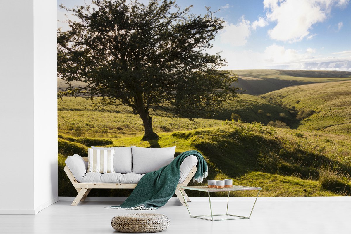 Behang - Fotobehang Eenzame Haagdoornboom in het Nationaal park Exmoor in Engeland - Breedte 390 cm x hoogte 260 cm