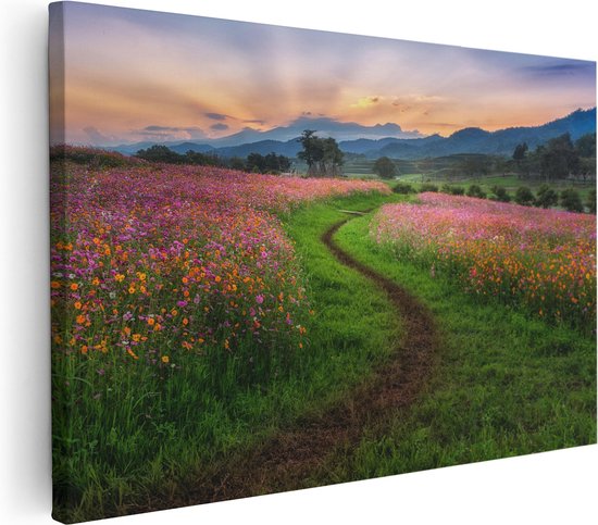 Artaza - Peinture sur toile - Champ de fleurs de Kosmos avec un chemin - Fleurs - 90x60 - Photo sur toile - Impression sur toile