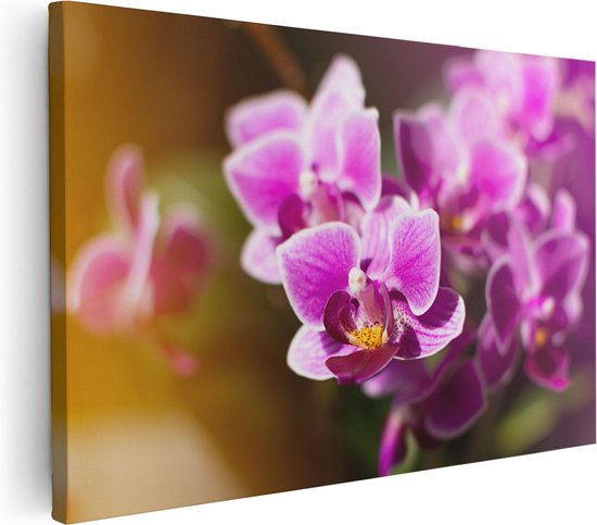 Artaza Canvas Schilderij Paarse Orchidee Bloemen - 120x80 - Groot - Foto Op Canvas - Wanddecoratie Woonkamer