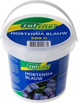 Hortensia Blauw - Hortensia kleuren - mooie kleuren hortensia terug - blauwkuur hortensia - bemesting voor hortensia - hortensia kleuren
