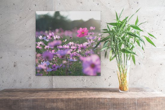 Artaza Toile Peinture Champ De Fleurs Avec Kosmos Pourpre - 30x30 - Klein - Photo Sur Toile - Impression Sur Toile