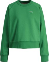 JJXX JXCAITLYN LS OVERSIZE TIME SWEAT Dames Trui - Maat S