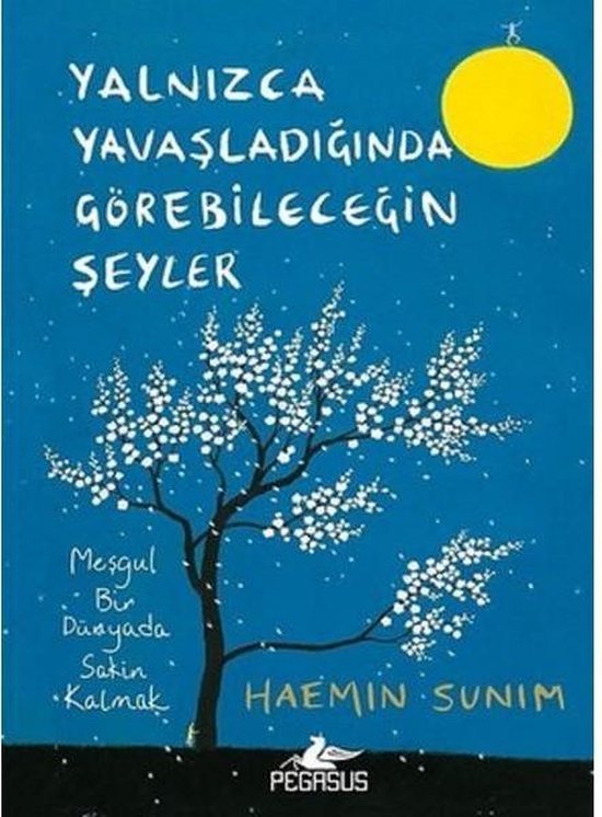 Yalnızca Yavaşladığında Görebileceğin Şeyler