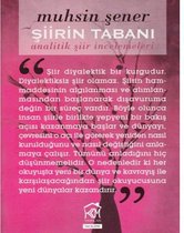 Şiirin Tabanı