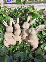 Konijnen beeldjes 4 konijnen in vergadering  van Slijkhuis  20x23x14 cm