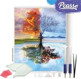 Pcasso ® Vier Seizoenen - Diamond Painting - Incl. Veel Diamond Painting Accessoires - Diamond Painting Kinderen - Diamond Painting Dieren - Diamond painting volwassenen - 30x40 CM