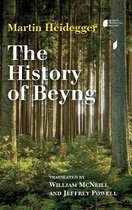 History Of Beyng