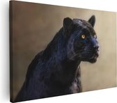 60 cm x 40 cm