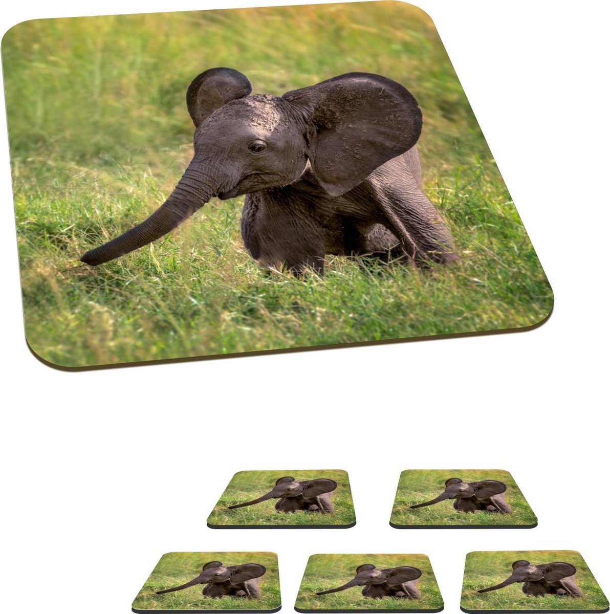 Onderzetters voor glazen - Olifant - Gras - Dieren - 10x10 cm - Glasonderzetters - 6 stuks