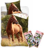 Paarden dekbedovertrek , bruin Paard bloemenweide-140x200 cm , 100% katoen- 1 persoons- dekbed- slaapkamer, incl. Paarden stickers !