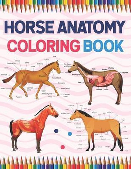 Horse Anatomy Coloring Book 9798713093365 Sarkaiylone Publication