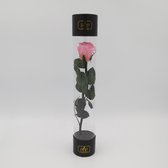 Classy stem rose - gift 30 cm - pink - Longlife roos gift - enkele longlife roos Valentijn cadeau voor vrouw