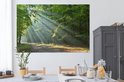 Een bosweg in de ochtendzon, met stralen die door de bomen breken. Boven een eettafel.