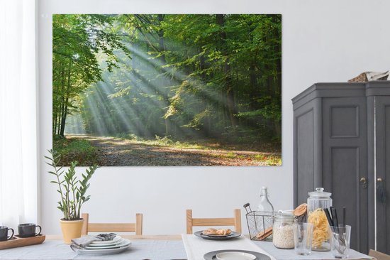Een bosweg in de ochtendzon, met stralen die door de bomen breken. Boven een eettafel.
