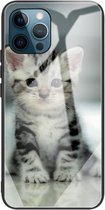 Kleurrijk geschilderd glas schokbestendig beschermhoes voor iPhone 13 Pro (Cute Cat)