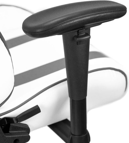 Ranqer Felix Gamestoel - Gaming Chair  / Gaming Stoel - Ergonomische Bureaustoel - Verstelbaar armleuningen - Wit / Grijs