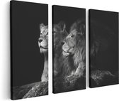 Artaza - Triptyque de peinture sur toile - Lion et lionne - Zwart Wit - 120x80 - Photo sur toile - Impression sur toile