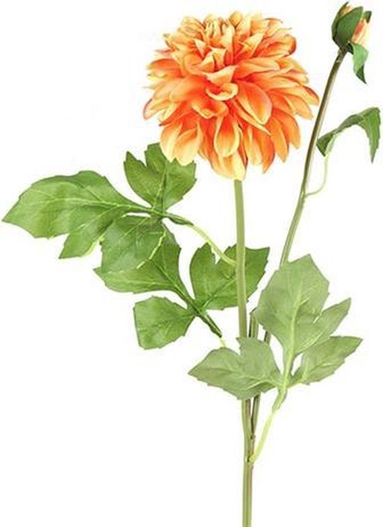 Kunstplant Asteraceae |  Oranje | 8 x 64 cm