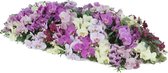 WishFlowers Corvi | bloemstuk | rouwboeket | rouwstuk | orchidee | uitvaartbloemen