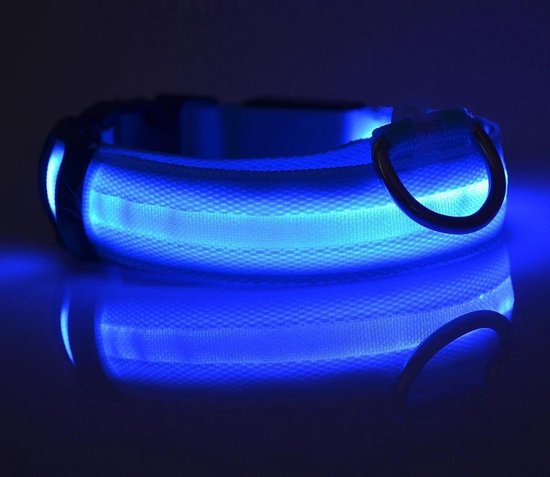 spreken Kudde aardolie Lichtgevende Halsband LED Maat M 37 - 46 cm USB Oplaadbaar Hondenhalsband  Puppy Riem -... | bol.com