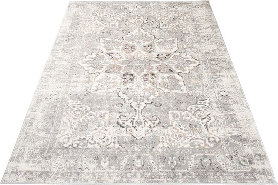 Tapiso Valley Tapis Salon Chambre Gris Clair Cadre Design Moderne Fleurs Durable Vintage Haute Qualité Tapis Taille - 200x300