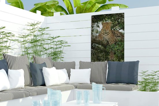 Décoration de jardin Panthère - Arbre - Animaux sauvages - 40x60 cm - Affiche de jardin