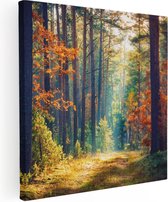 Artaza Canvas Schilderij Herfstbos Met Zonneschijn - Kleur - 30x30 - Klein - Foto Op Canvas - Canvas Print