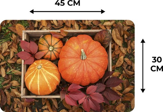 Set de table - Citrouille - Krat - Feuilles - 45x30 cm - 6 pièces