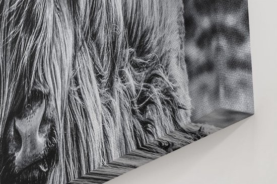 Artaza Canvas Schilderij Schotse Hooglander Koe - Zwart Wit - 120x60 cm - Groot - Wanddecoratie Woonkamer - Schilderijen - Muurdecoratie